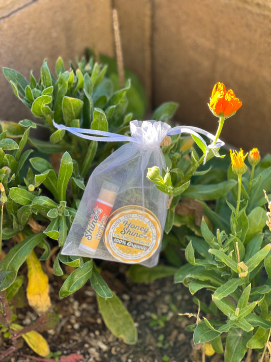 Appreciation Gift Bags