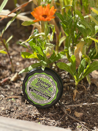 Bee Free Vegan Salve